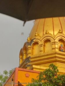 Farmer dies of heart attack after being struck by lightning