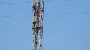 Dhangar community reservation issue in Buldhana district