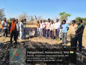 Three and a half lakh maize burnt