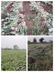 State Government distributes funds worth ₹53.73 crore to farmers.