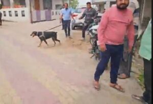 Thieves attack police