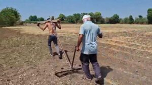 The farmer tied himself to the barn for tillage