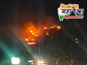 Forest resources burnt in fire