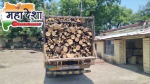 Police Launch Bold Crackdown on Illegal Tree Felling at Malkapur Pangra