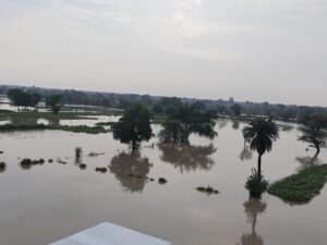 Flood in Dongaon area