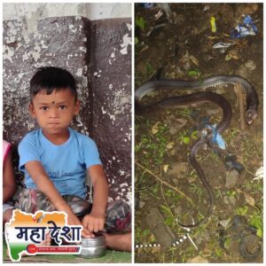 Rajgad falls into mourning due to the cruel fate
