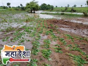 Havoc Caused by Excessive Rainfall