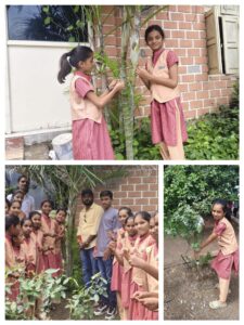 Relationship with nature