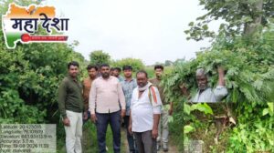 Leopard terror in Malvandi area