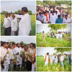 Relief for drought-hit farmers from Union Minister Prataprao Jadhav.