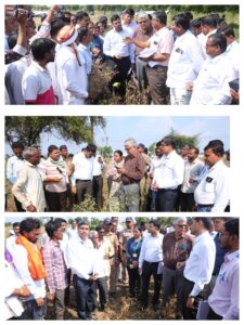 Central team conducts an in-depth review of the situation in the Amravati division.