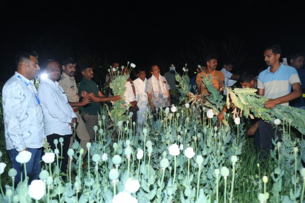 Raid on opium plantation; Plants worth 1.25 crores seized along with bonds