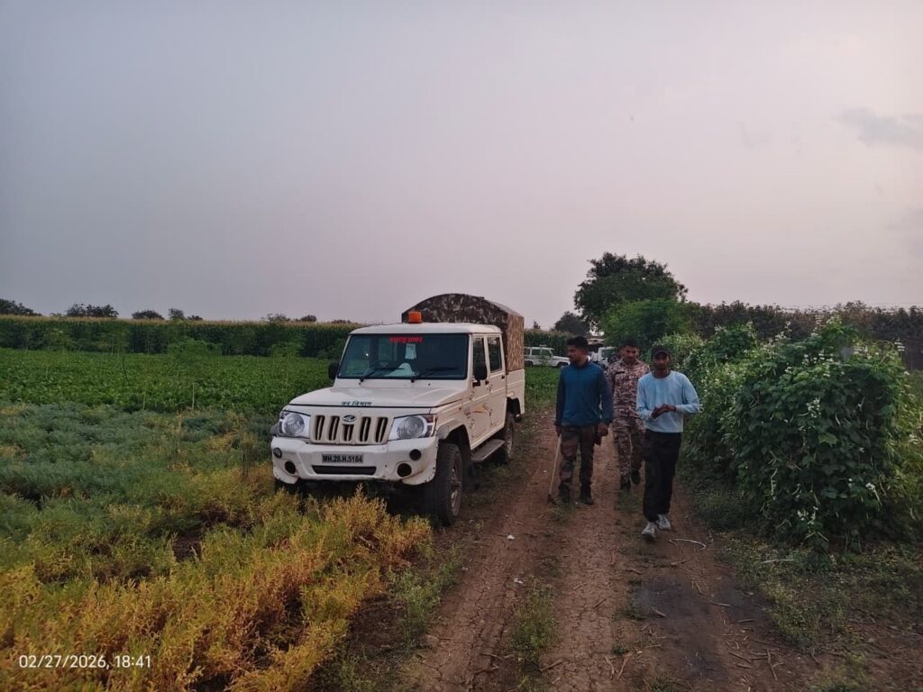 The woman climbed a tree as soon as she saw a leopard