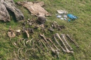 Excitement over discovery of skull and bones