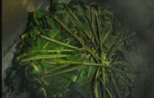 11 quintals of 51 kg of Maharoth was made on Mahashivratri