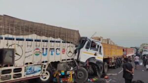 Eight goats killed along with driver and carrier
