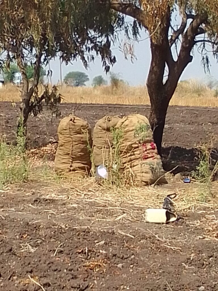 Turmeric seeds were stolen.