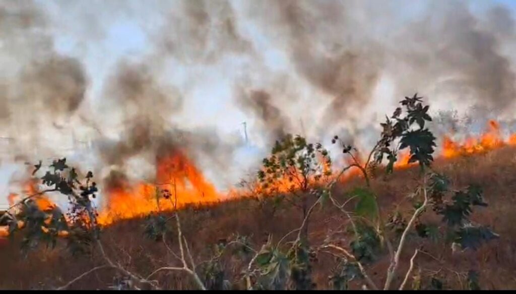 Fire breaks out in power house area on Risod-Mehkar road