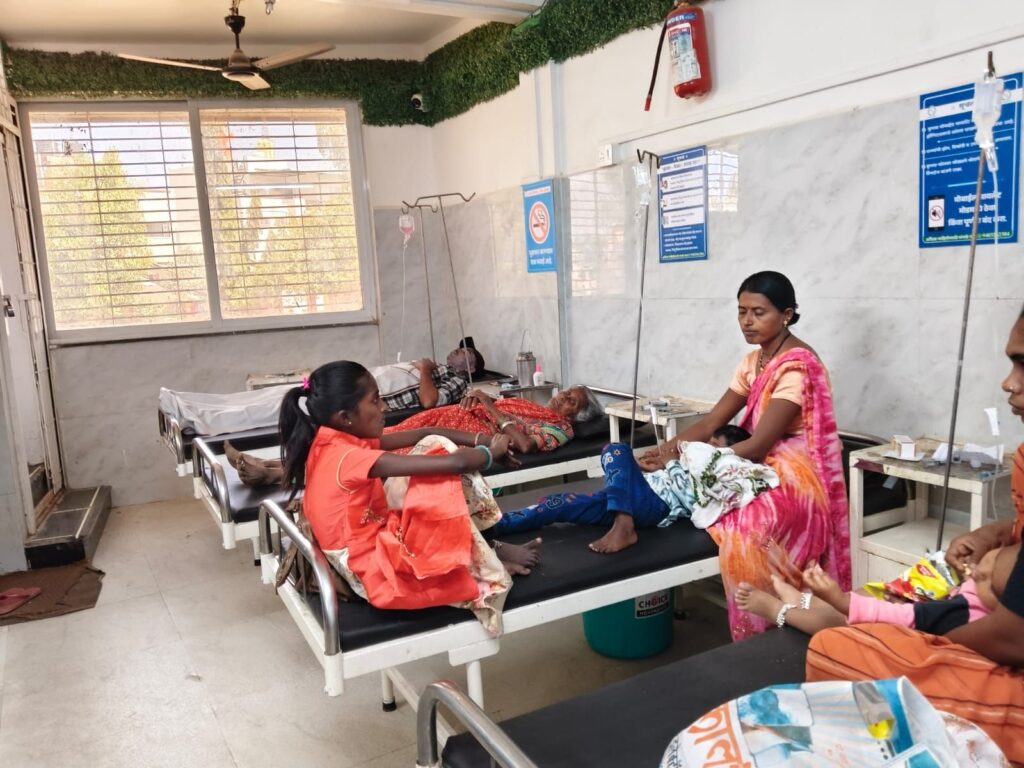 Thirty people injured in bee attack