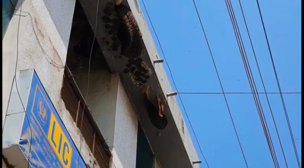 Shopkeepers are suffering not from business but from the atmosphere of fire