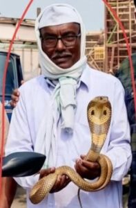 Senior snake charmer dies of snake bite

