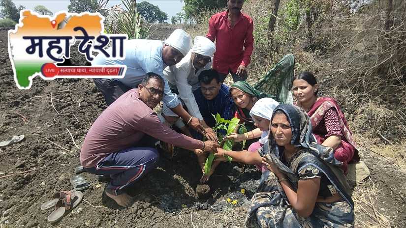 Eco-friendly tribute to father