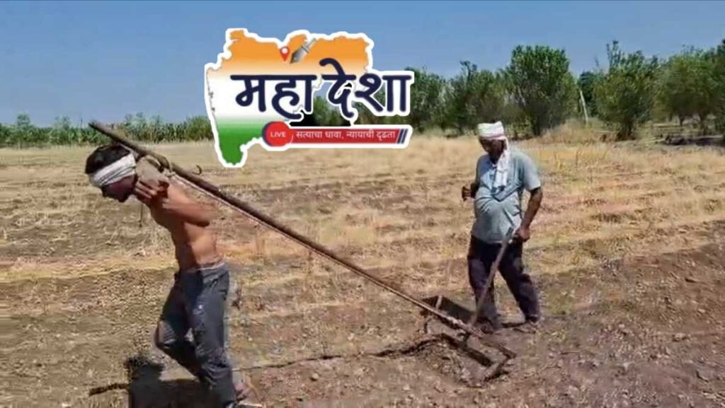 The farmer tied himself to the barn for tillage