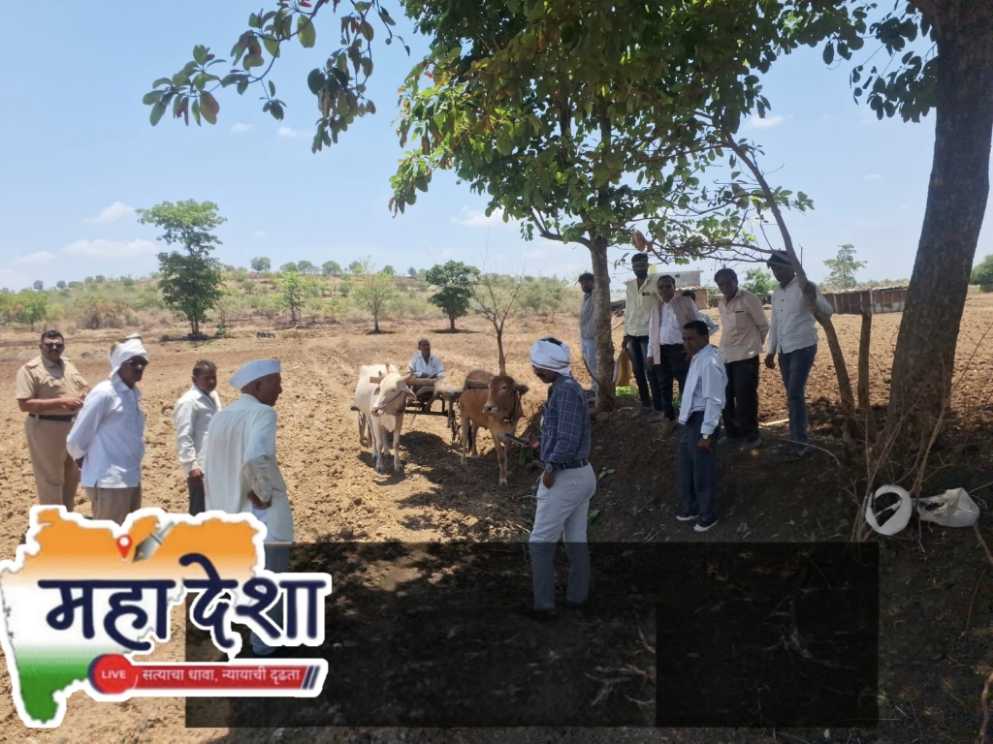 शेतकऱ्यांच्या सहकार्याने सिंदखेडराजातील शेतरस्ता मोकळा : With the cooperation of farmers, the agricultural roads in Sindkhedraj are cleared.