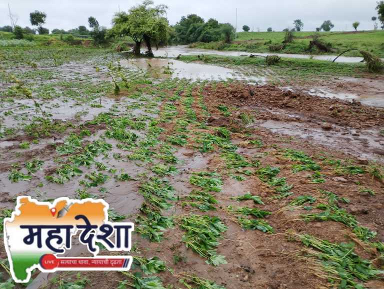 Havoc Caused by Excessive Rainfall