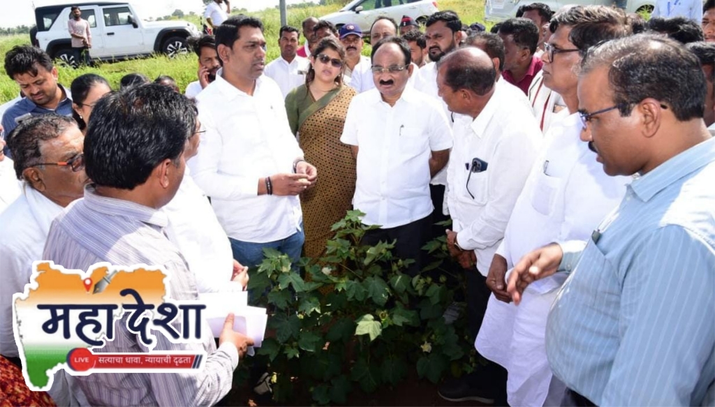A ray of hope for farmers